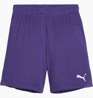 Шорти дитячі Puma Teamgoal Paars Wit Violet 705753-10
