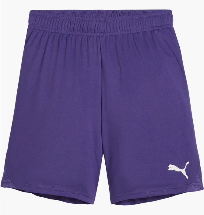 Шорты детские Puma Teamgoal Paars Wit Violet 705753-10