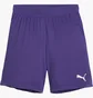 Шорты детские Puma Teamgoal Paars Wit Violet 705753-10