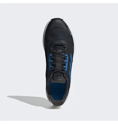 Кроссовки мужские Adidas Terrex Agravic Flow 2.0 Gore-Tex Trail Running Shoes Black/Grey H03184