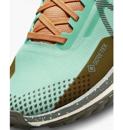 Кросівки жіночі Nike Pegasus Trail 4 Gore-Tex Turquoise DJ7929-301