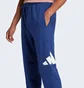 Штани чоловічі Adidas Essentials Big Logo French Terry Blue JE8967