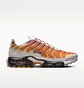 Кроссовки мужские Nike One Block Down X Air Max Plus Reverse MenS Shoes Grey FZ3308-700