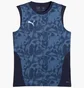Майка мужская Puma Teamcup Training Blue 659168-06