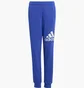 Штаны детские Adidas Sportswear Blue IV7326