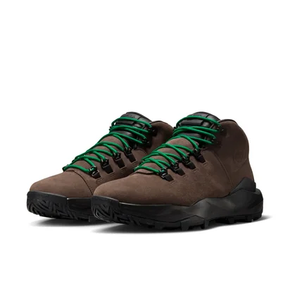 Кросівки чоловічі Nike Cygnal Brown FV4332-200