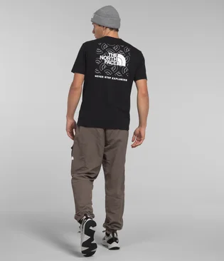 Футболка мужская The North Face Logo Black NF0A812HOV2