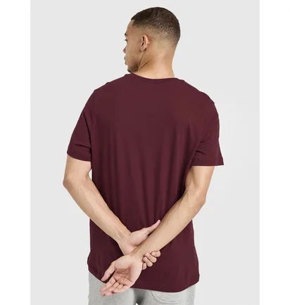 Футболка мужская Nike Core Bordo IQ3478-677