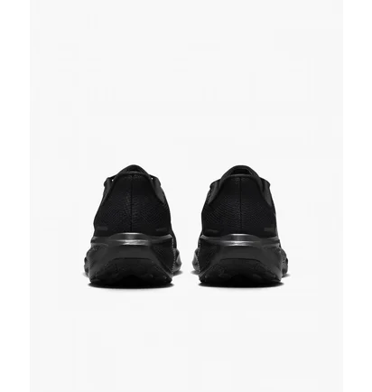Кроссовки женские Nike Pegasus 41 Black FD2723-001