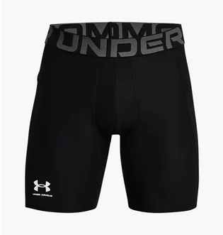 Термобелье мужское Under Armour Hg Black 1361596-001