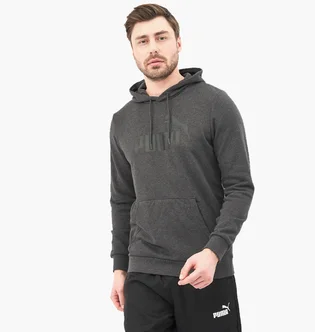 Худі чоловіче Puma Ess Big Logo Hoodie Grey 58668807