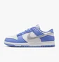 Кросівки жіночі Nike Dunk Lowshoes Light Blue/White DD1873-402