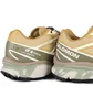 Кроссовки мужские Salomon Xt-6 Antelope/Icicle/Portabella Beige L47581000