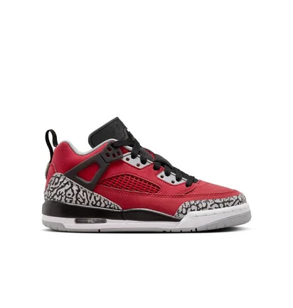 Кроссовки детские Air Jordan Spizike Low Bordo FQ3950-600