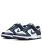 Кроссовки детские Nike Dunk Low White/Blue HF5177-400
