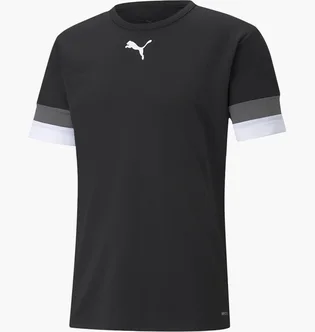 Футболка мужская Puma Teamrise Jersey Black 704932-03