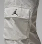 Штаны мужские Air Jordan Flight Mvp Grey Dv7580-030