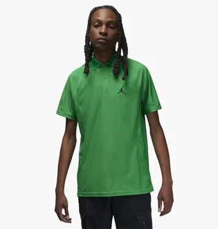 Поло чоловіче Air Jordan Dri-Fit Adv Sport Green DZ0548-310