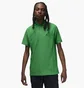 Поло мужское Air Jordan Dri-Fit Adv Sport Green DZ0548-310