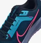 Кросівки чоловічі Nike Pegasus 40 Se Blue FB7180-001
