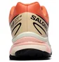 Кроссовки мужские Salomon Xt-6 Orange L47445000