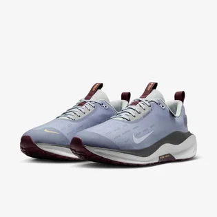 Кроссовки мужские Nike Infinityrn 4 Gore-Tex Blue HQ0265-400