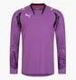 Лонгслив мужской Puma V1.08 Violet 700394-04