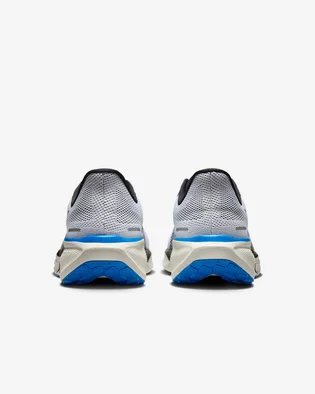 Кросівки чоловічі Nike Pegasus 41 White HV5218-100