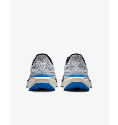Кроссовки мужские Nike Pegasus 41 White HV5218-100