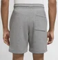 Шорты мужские Air Jordan Grey DA7210-091