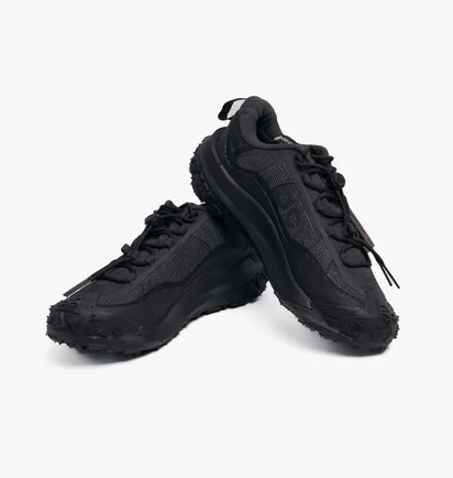 Кроссовки мужские Nike Acg Mountain Fly 2 Low Gtx Sneaker Black HF6245-001