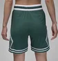 Шорты мужские Air Jordan Dri-Fit Sport Diamond Green DX1487-366
