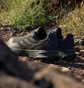 Кроссовки мужские Adidas Tracefinder Trail Running Shoes Black IE5906
