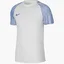 Футболка детская Nike Dri-Fit Academy White DH8369-102