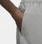 Шорти чоловічі Nike Mens 2-In-1 Running Shorts Grey Cz9060-084
