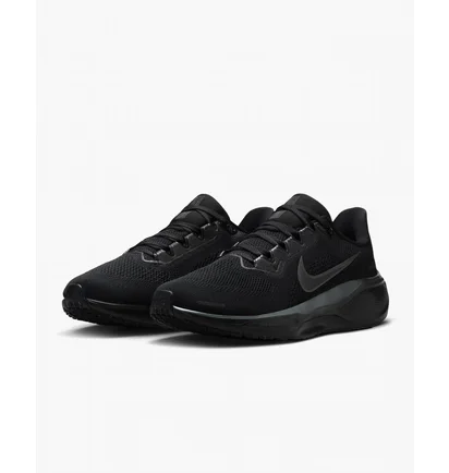 Кроссовки женские Nike Pegasus 41 Black FD2723-001