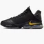 Кросівки унісекс Nike Lebron Xix Low "Witness" Black Dh1270-002