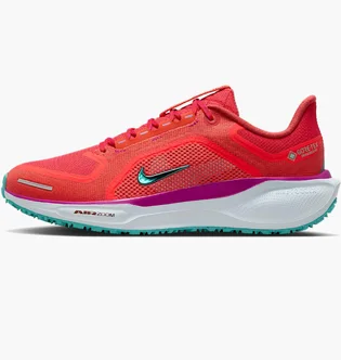 Кросівки жіночі Nike Pegasus Gore Tex Red HM8870-600