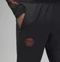 Штани чоловічі Air Jordan Psg Df Strk Pant Kpzks Aw Black Dn1265-010