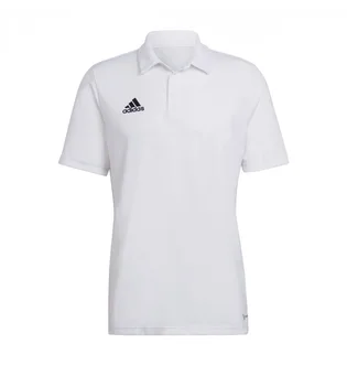 Поло мужское Adidas Wit Entrada 22 Poloshirt White HC5067