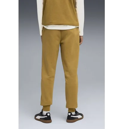 Штани чоловічі Puma Essentials Colour Logo Brown 684713-69