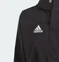 Ветровка детская Adidas Entrada 22 All Weather Black IK4014