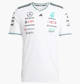 Футболка мужская Adidas Mercedes - Amg Petronas Formula One Team Driver Authentic White JX5795