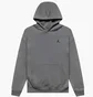 Худи мужское Air Jordan Brooklyn Fleece Grey IB7235-068
