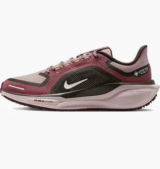 Кросівки жіночі Nike Pegasus 41 Gore Tex Bordo FQ1357-200