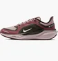 Кросівки жіночі Nike Pegasus 41 Gore Tex Bordo FQ1357-200