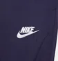 Штаны мужские Nike Windrunner Pants Violet FB8616-555