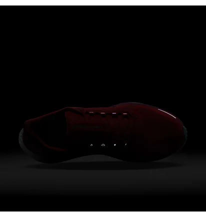 Кроссовки мужские Nike Air Zoom Pegasus 41 Gtx Red HM8872-600