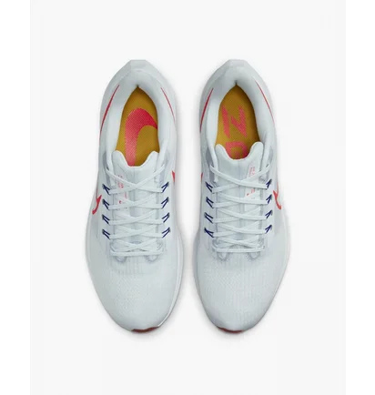 Кроссовки мужские Nike Pegasus 39 Running Shoes White Dh4071-007