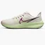 Кроссовки мужские Nike Air Zoom Pegasus 39 Beige Dh4071-101